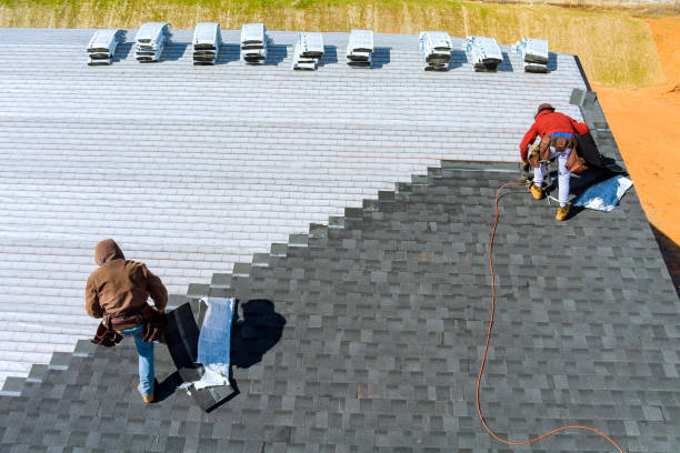 Best Roof Waterproofing  in Nashville, GA